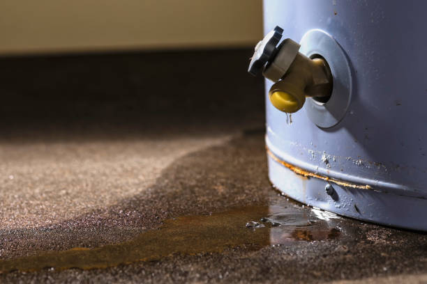 Best Basement water damage restoration  in Port Barrington, IL