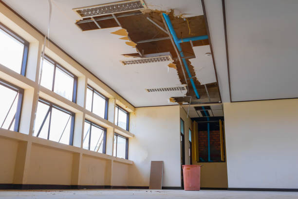 Best Commercial water damage restoration  in Port Barrington, IL