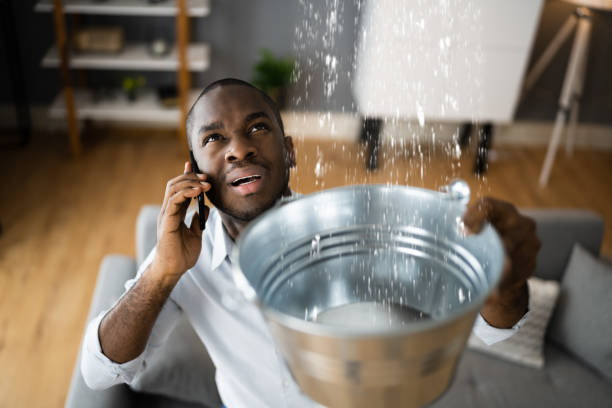 Best Water damage restoration cost  in Port Barrington, IL