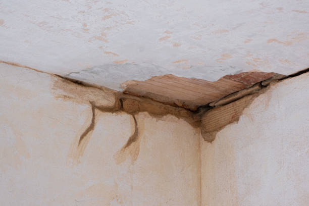 Best Flooded house restoration  in Port Barrington, IL
