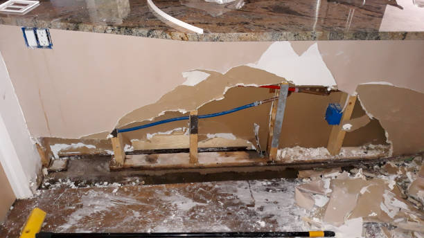 Best Water damage restoration near me  in Port Barrington, IL