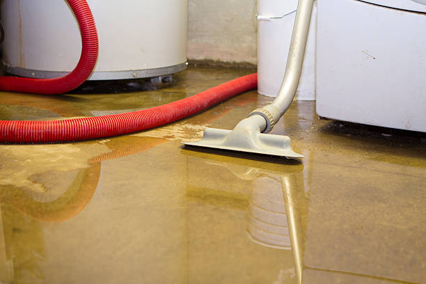 Best Professional water damage repair  in Port Barrington, IL