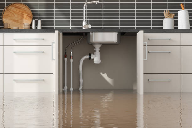 Best Sewage cleanup and water damage restoration  in Port Barrington, IL