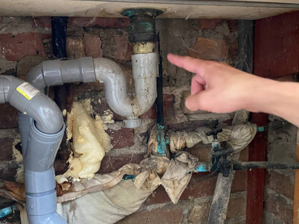 Best Water damage restoration process  in Port Barrington, IL