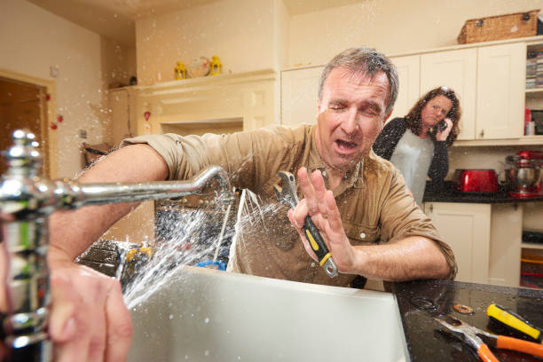 Best 24/7 water damage repair  in Port Barrington, IL